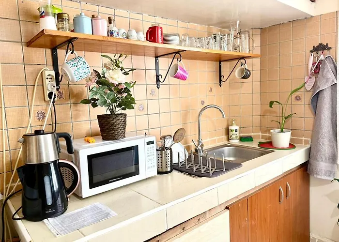 Kaleici Seaside Magnificent Location With Separate Kitchen Apartment Antalya